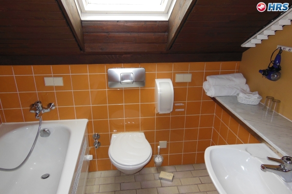 Hotel Traube Fessenbach (Offenbourg)